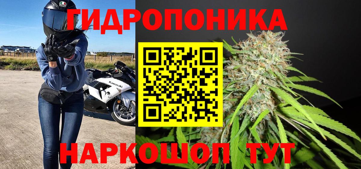 Кизляр  Конопля OG Kush  Вход с VPN  Марихуана конопля  Конопля AK-47 